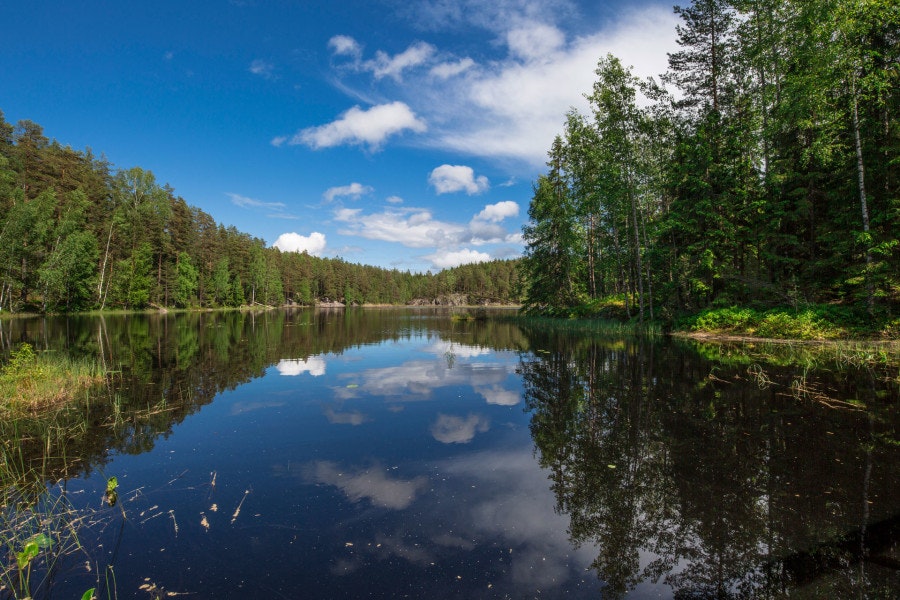 Finnish Lakes and Forests - Guided Tour  Hekla.com