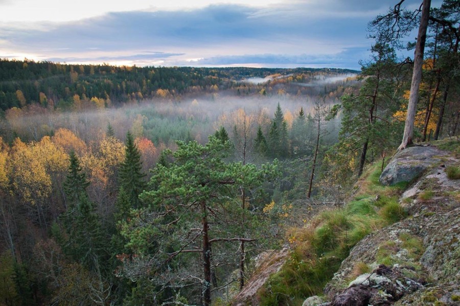 Finnish Lakes and Forests - Guided Tour  Hekla.com